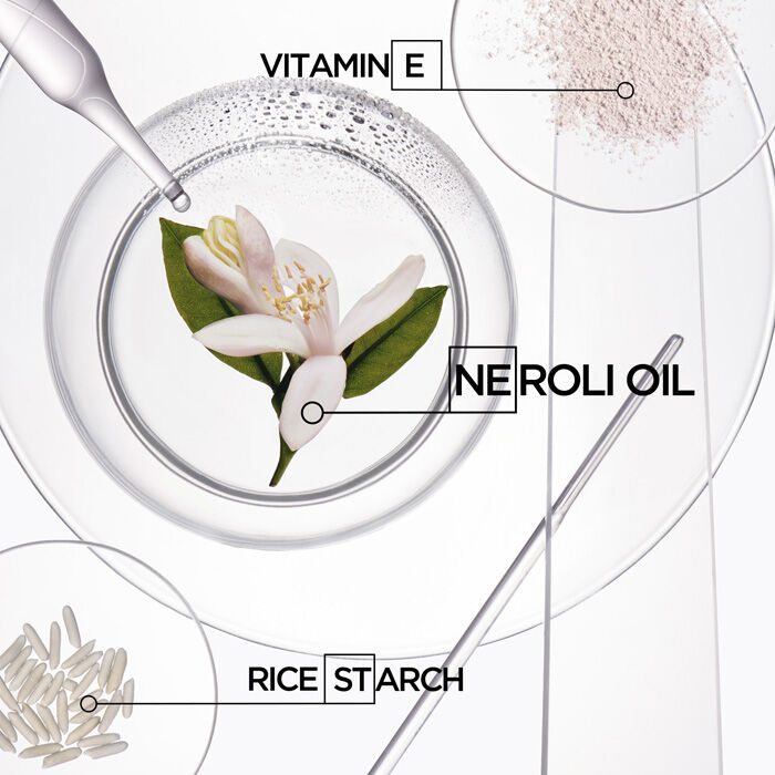 Shampoo en Seco Fresh Affair