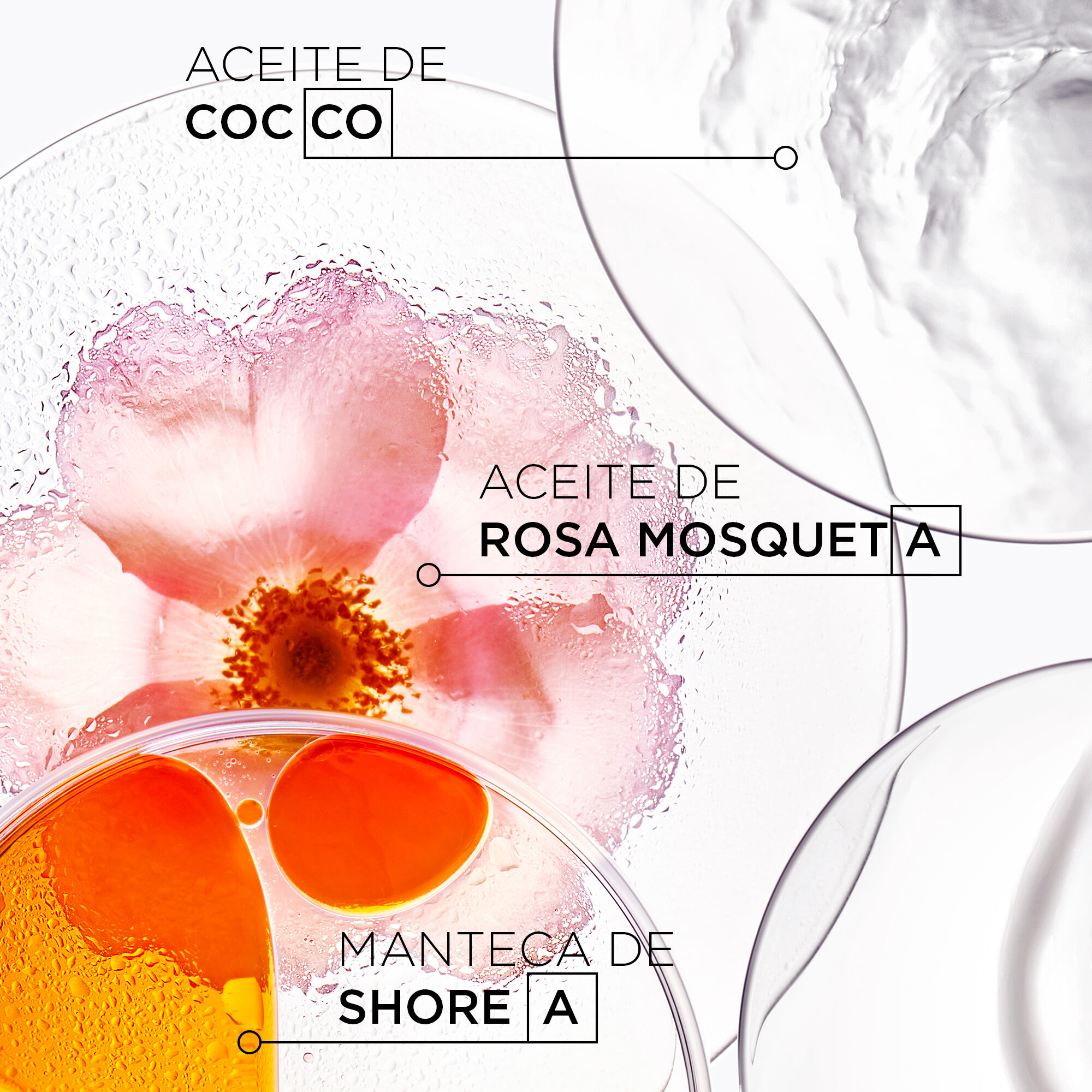 Shampoo Bain Oleo-Relax