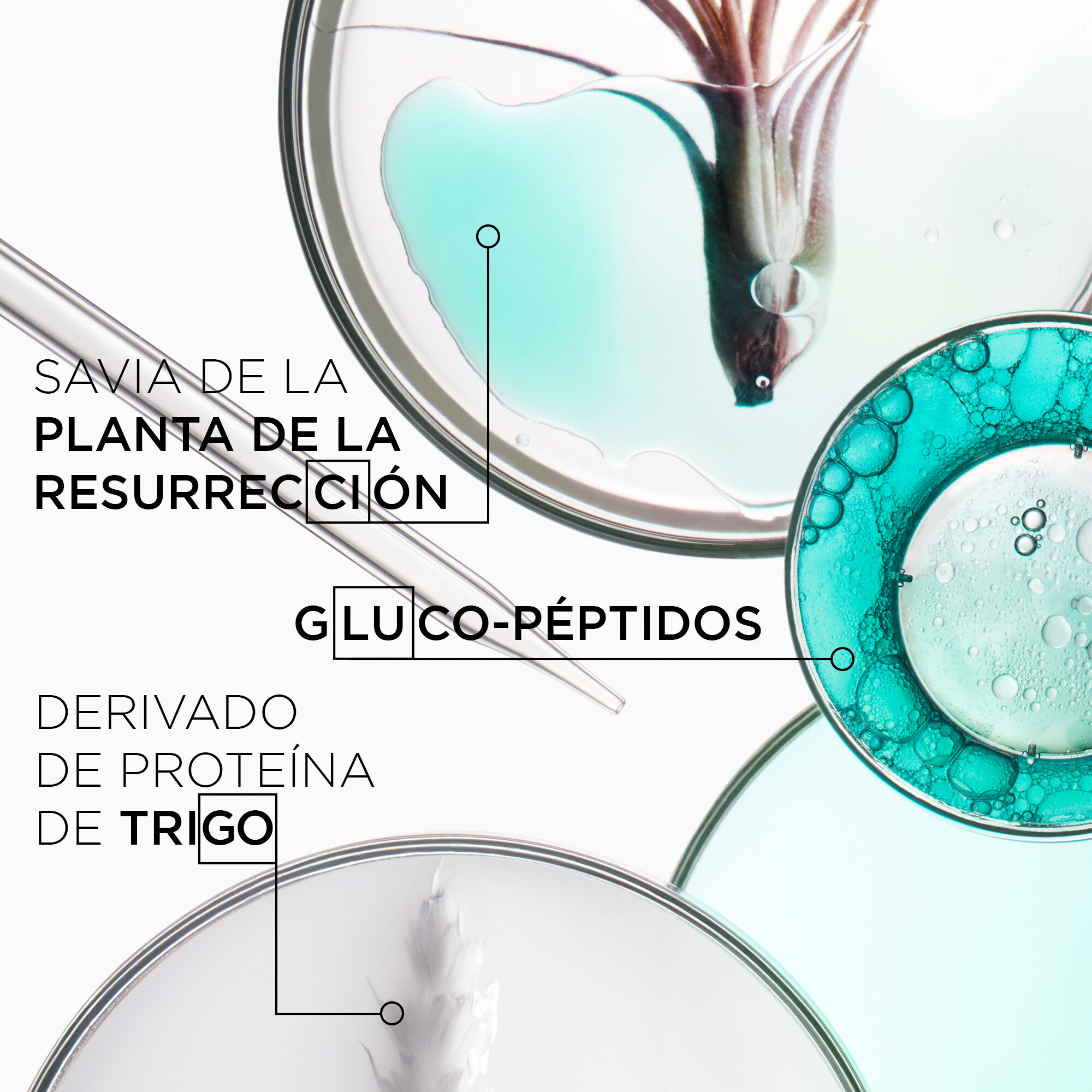 Serum Therapiste