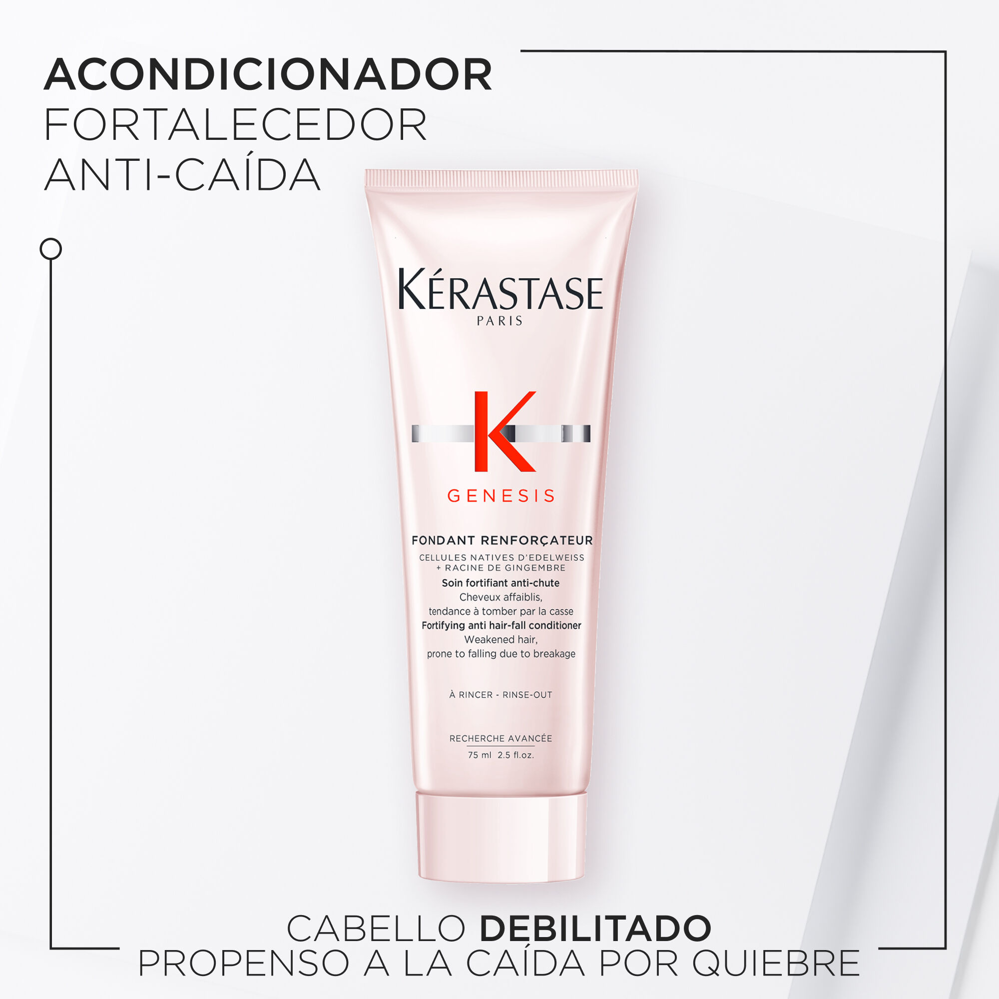Acondicionador Fondant Renforcateur