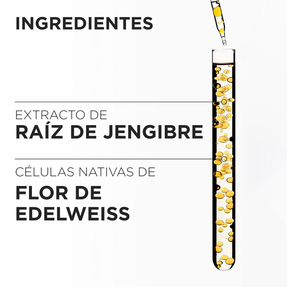 Cofre Genesis Fortalecedor