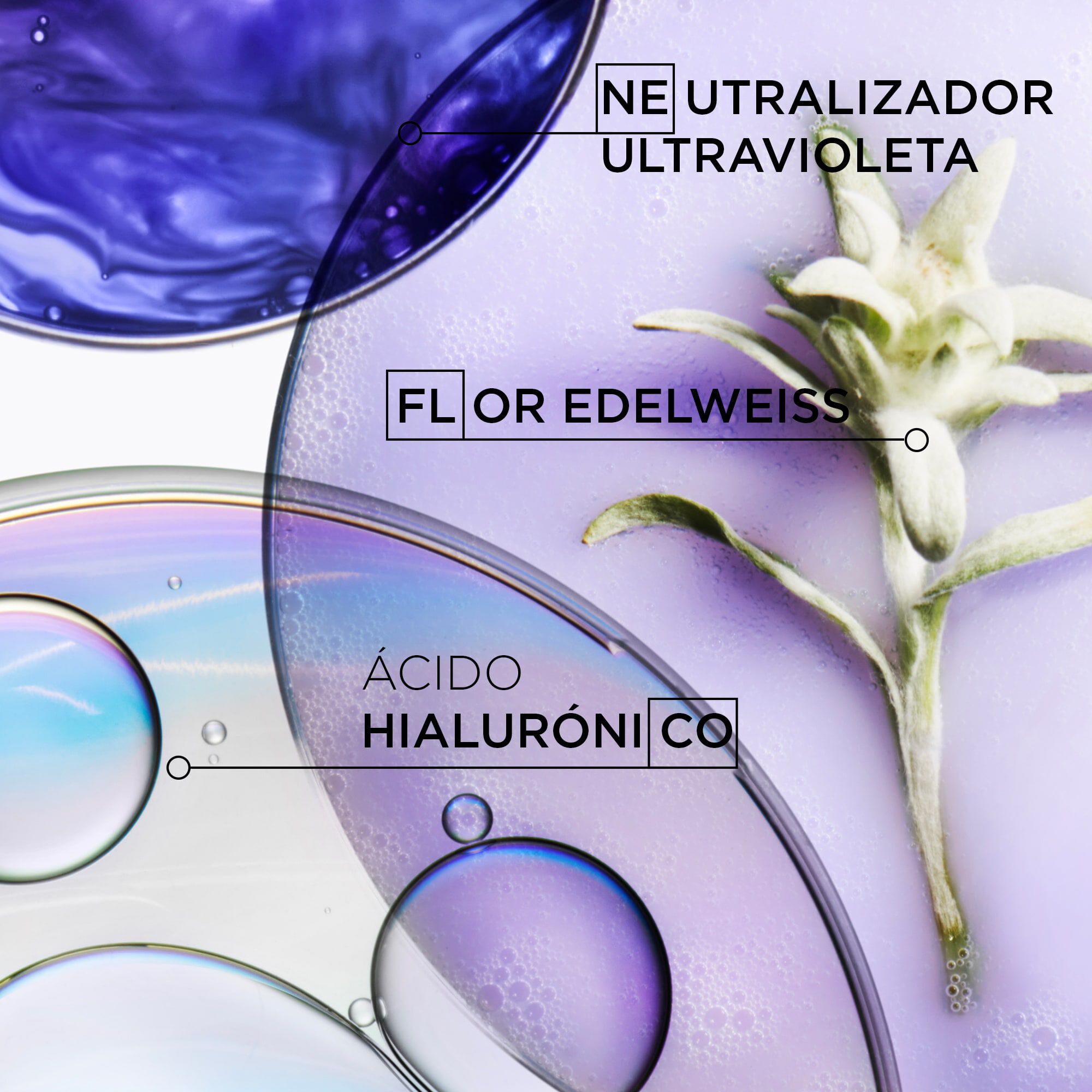 Shampoo Bain Lumiere Recargable