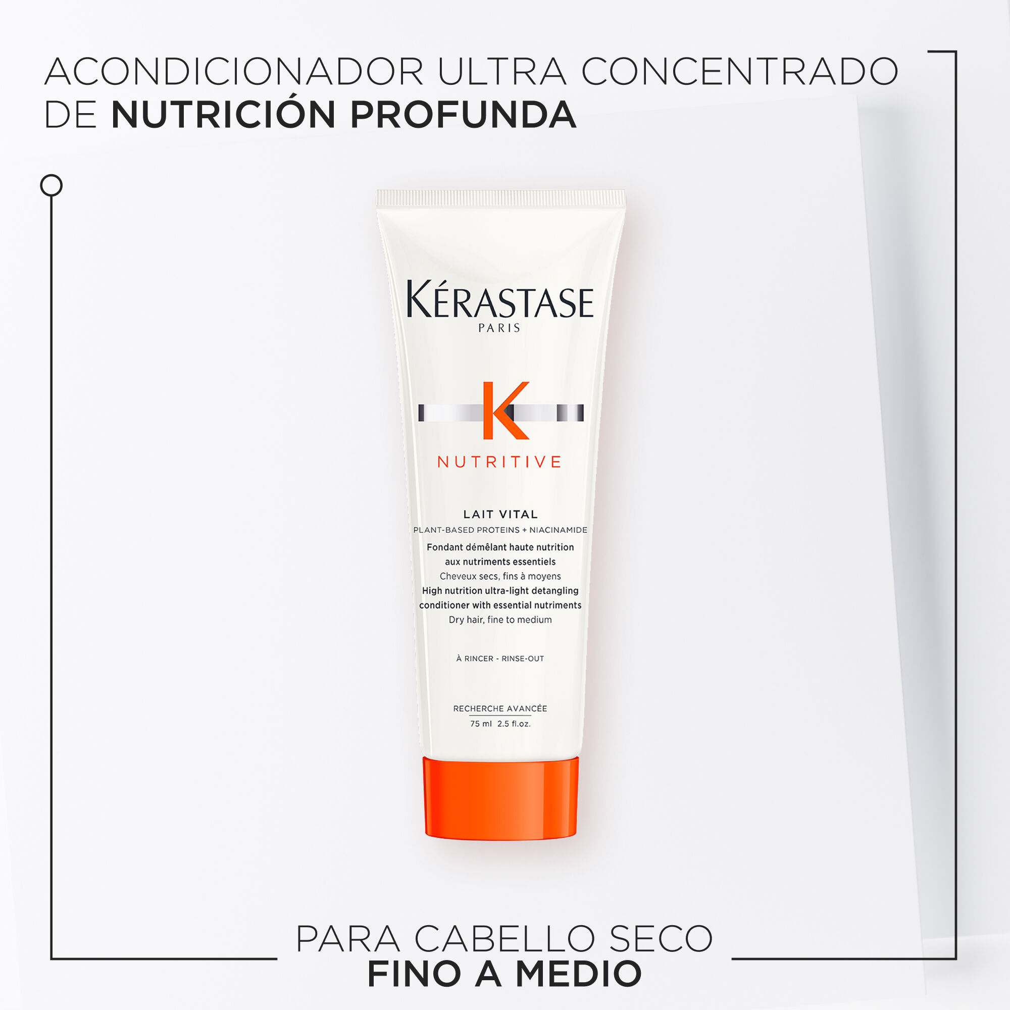 ACONDICIONADOR LAIT VITAL