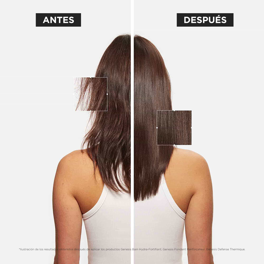 Cofre Genesis Fortalecedor