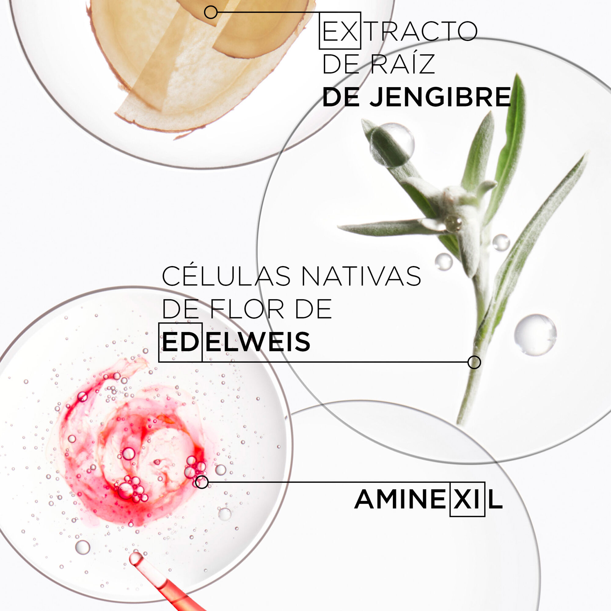 Set Genesis Shampoo 80ML + Acondicionador 75ML + Texturizante 45ML