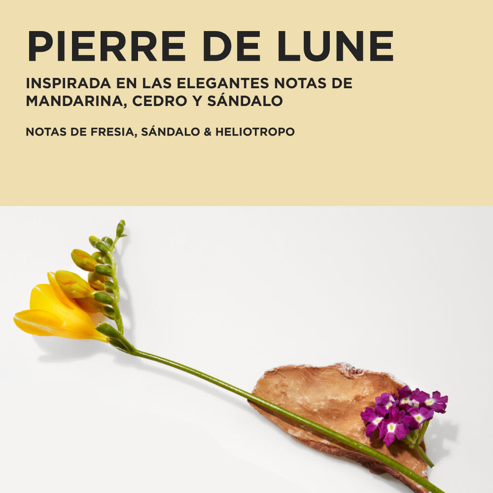 COFRE BRILLO ELIXIR ULTIME