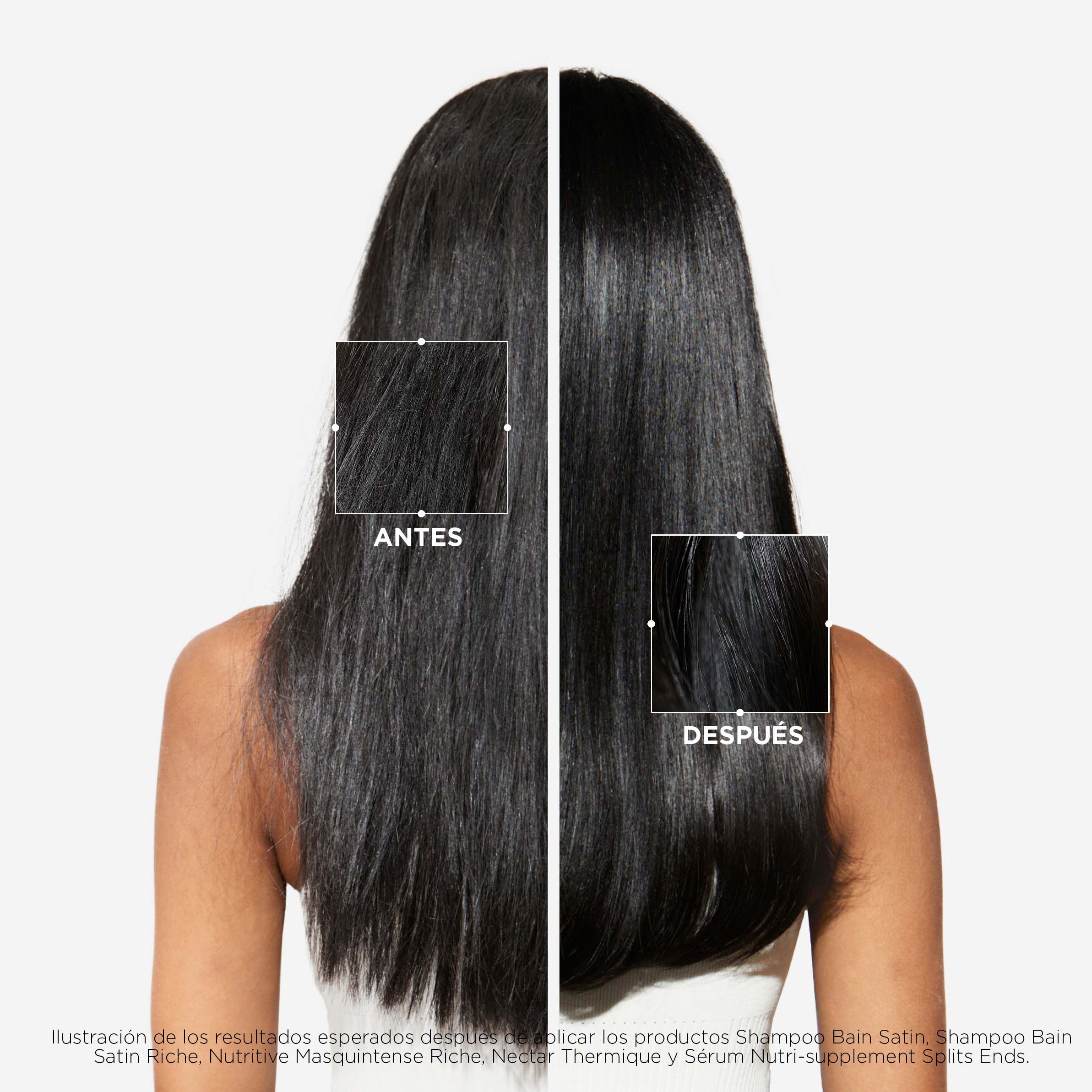RUTINA NUTRITIVA PARA CABELLO SECO, GRUESO