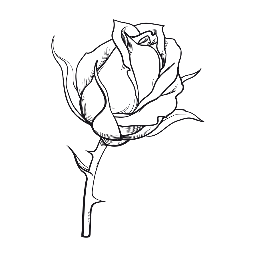 Jazmín y Lirio de los valles