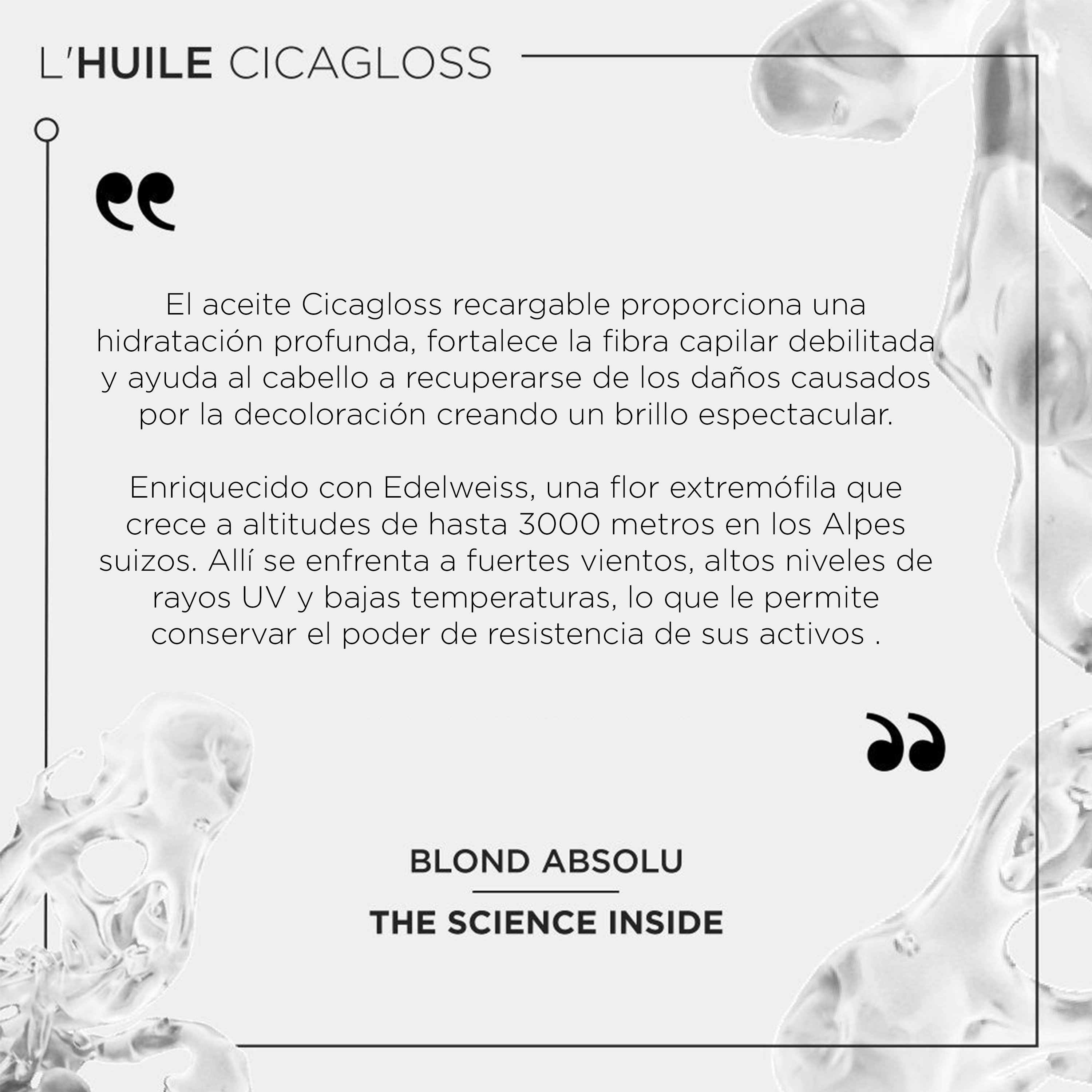 Gama Blond Absolu