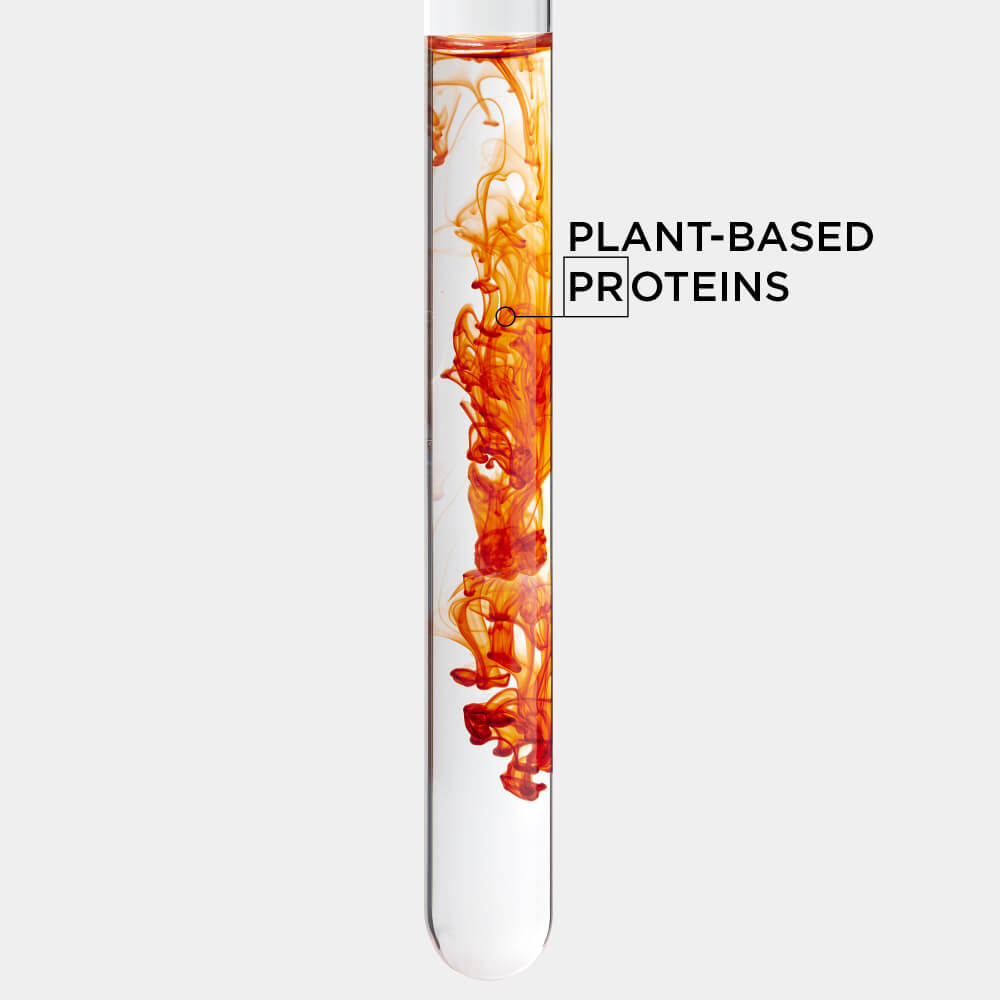 Proteínas a base de plantas